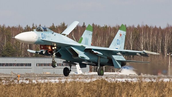 SukhoiSu-27on_landing.jpg_thumb.4bdeca12373ea5df6f8db5d826f14cd7.jpg