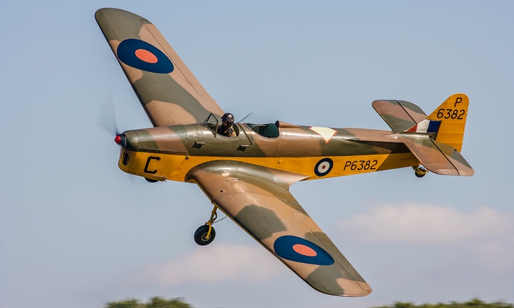 Miles Magister - Warbirds - Recreational Flying