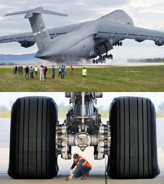 C-5M Super Galaxy.jpg